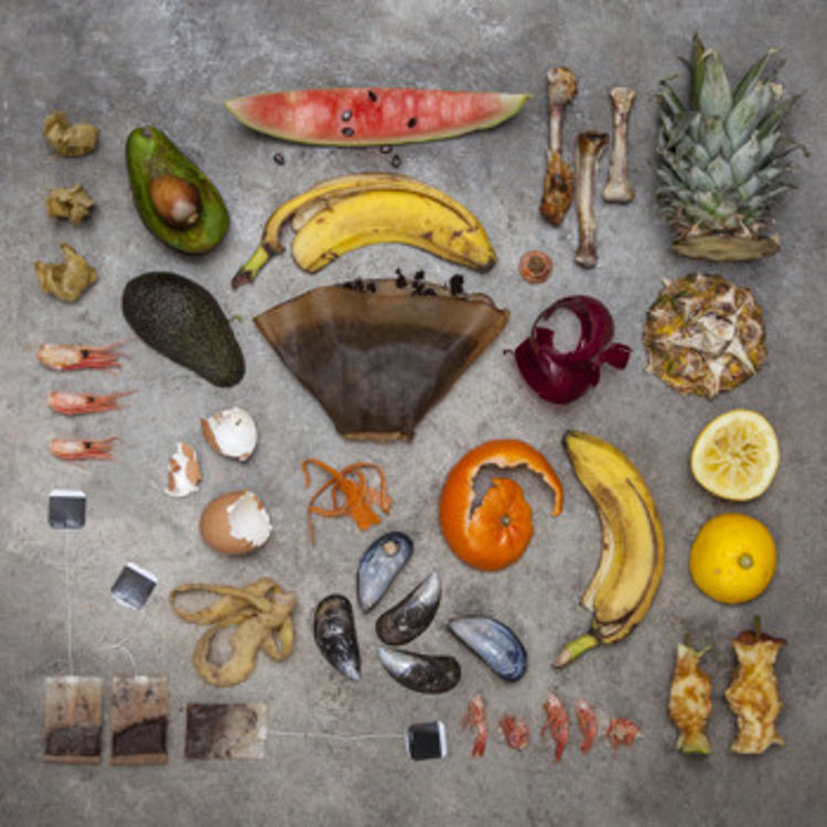 Bild på matavfall; banan, äggskal, tepåse, kaffefilter, melon, citron, äppelskrutt, räkskal, musslor